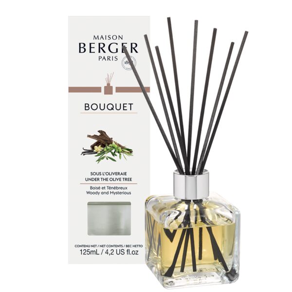 Bouquet Parfumé Cube Berger Rêves d'Orient "Sous l'Oliveraie", Berger Paris, , par Esprit Maison