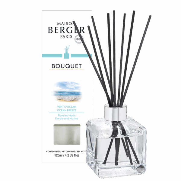 Bouquet Parfumé Cube Berger Rêves de Fraicheur "Vent d'Océan", Berger Paris, , par Esprit Maison