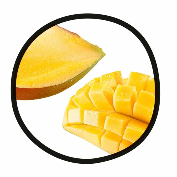 Coupe mangue MoHa – Image 3