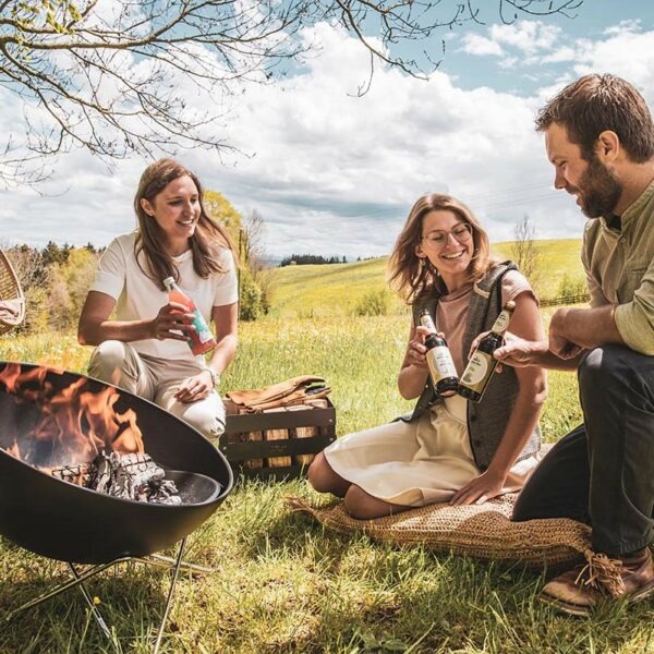 Fire Bowl avec Wirebase – Image 3