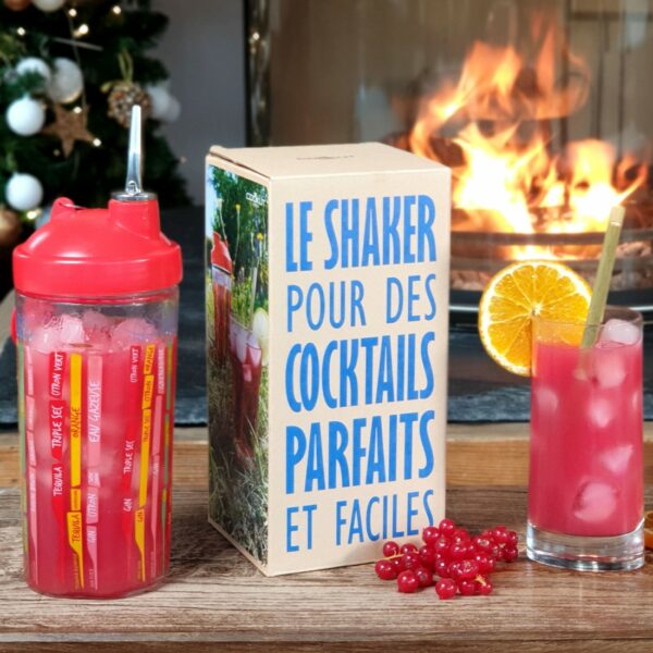 Shaker à Cocktails 22 recettes COOKUT – Image 2